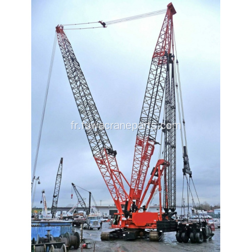 Grue à flèche en treillis robuste avec un excellent prix